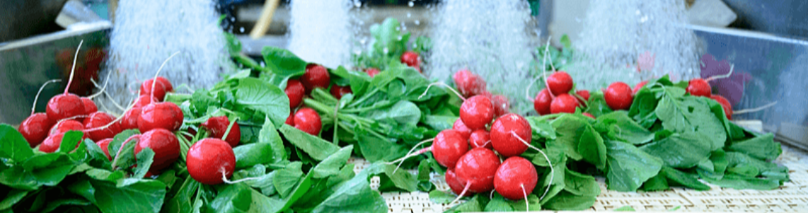 Food Safety 