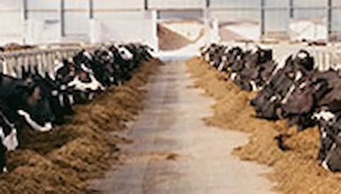 Aliments et ingrédients pour animaux  - GMP+ FSA, FAMI-QS et FSSC 22000