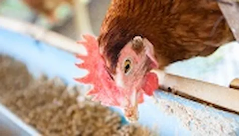 Spécification technique pour le bien-être animal