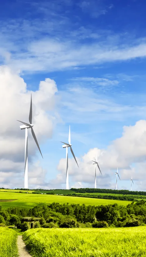 éoliennes dans un champ