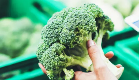 IFS Food V8 : Les changements clés