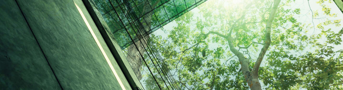 Eco-friendly building in modern city