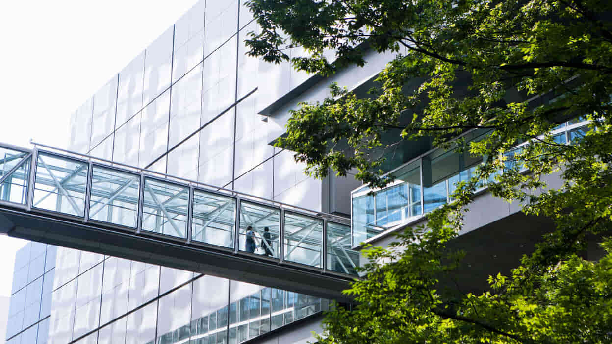 Certification ISO 14001 : Système de management environnemental
