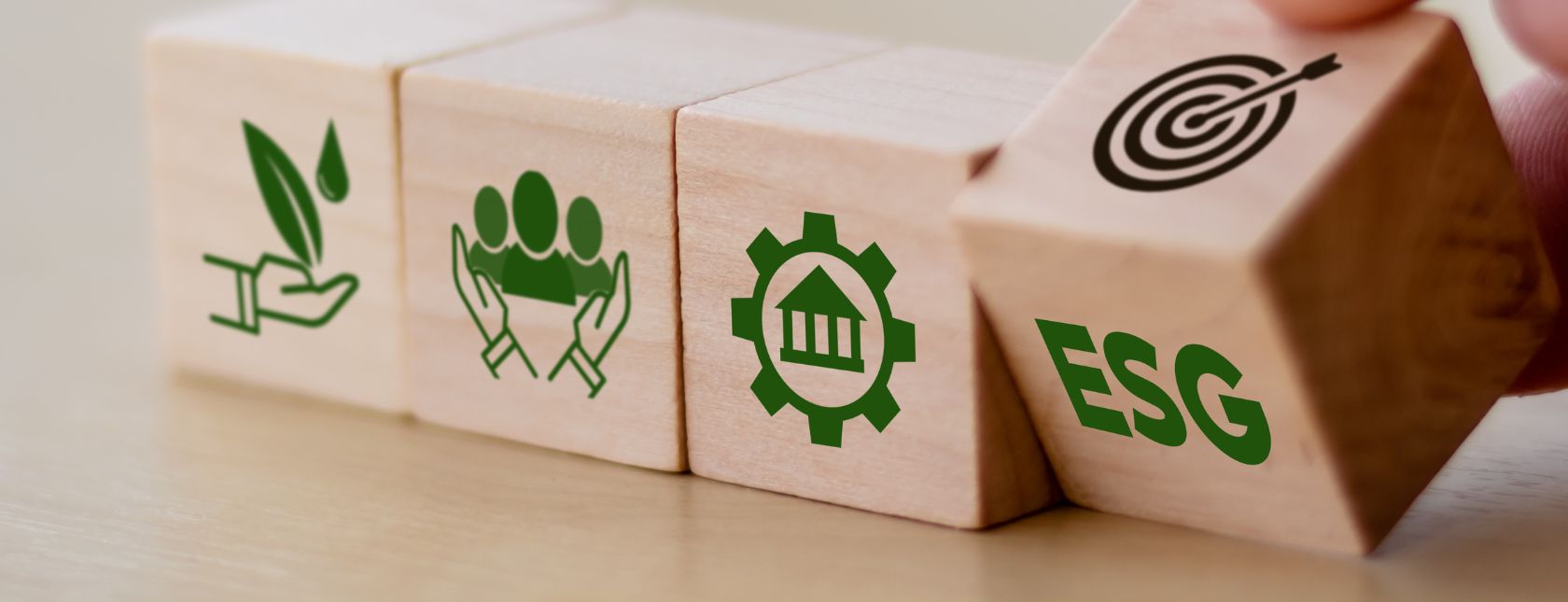 Formation sur l'ESG et les systèmes de management
