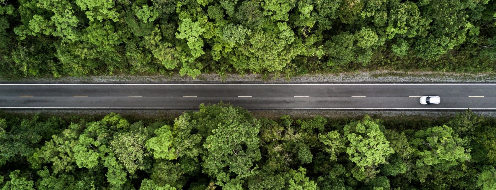 Aerial view of road through the green forest