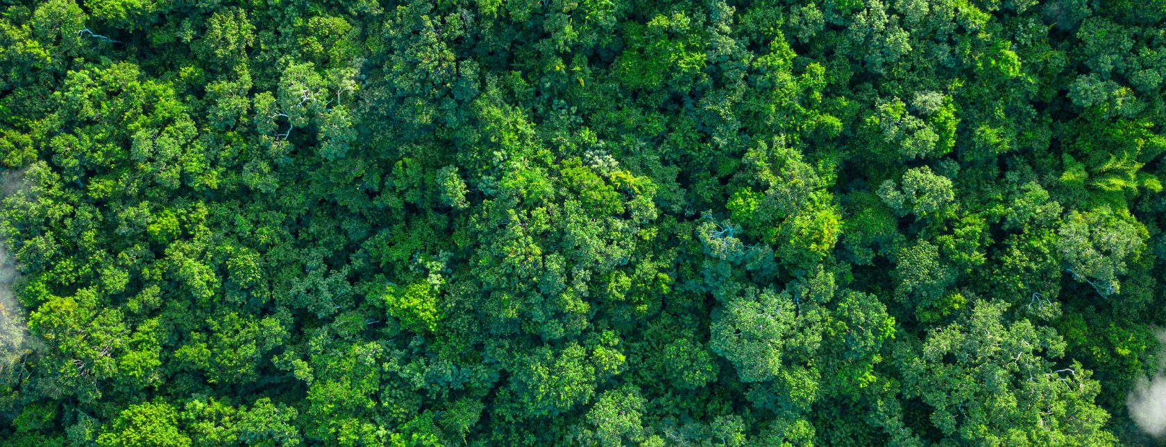 Révision de la norme ISO 14001