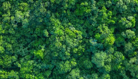 Révision de la norme ISO 14001