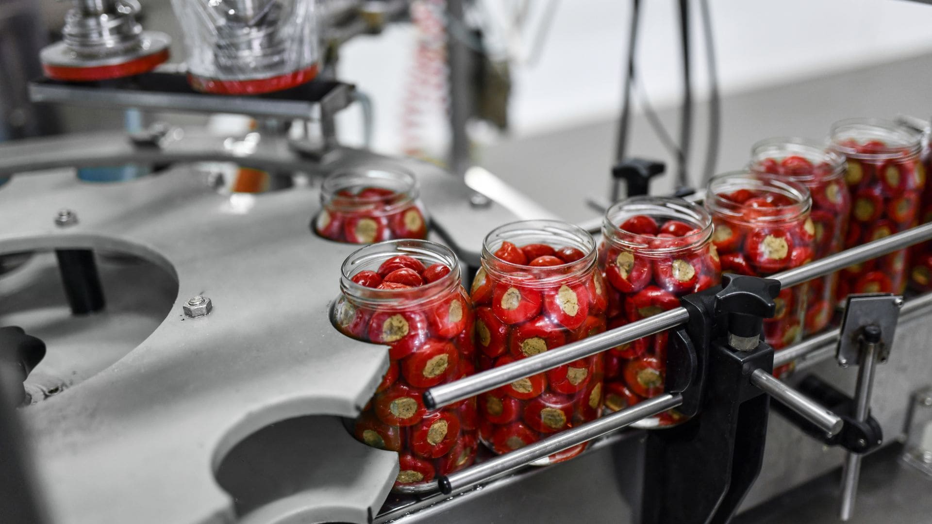 Biscuits fraîchement préparés sur la chaîne de production d'une usine agroalimentaire