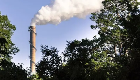 Services de vérification du CDP et de l'inventaire des émissions de GES