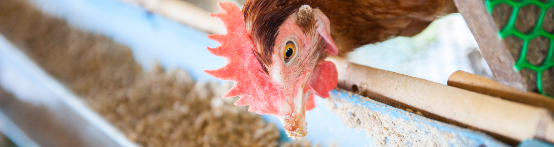 DNV GL Water Management Certification