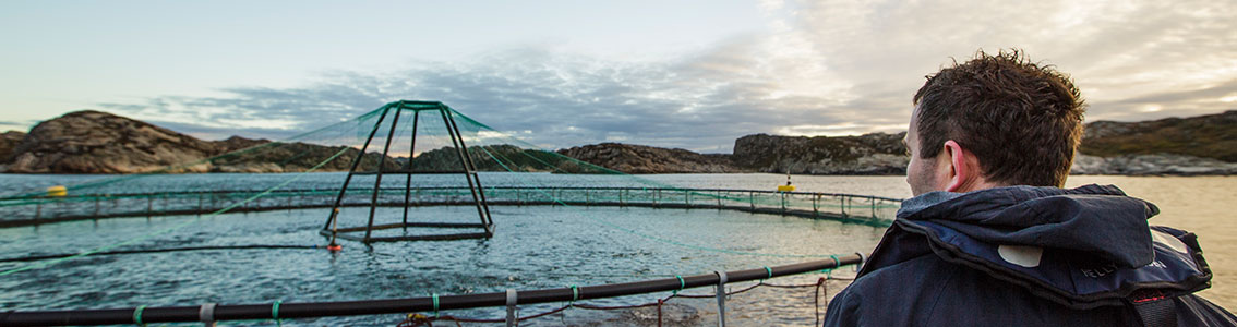 illustration image dnvgl.com