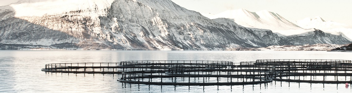 Ferme aquacole Norvège