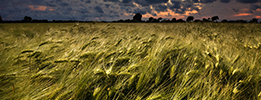 Site conditions for wind turbines