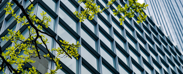 Environnement et Énergie