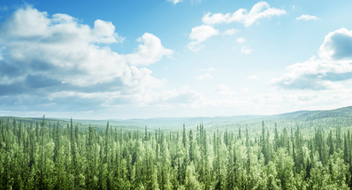 Enquête Espresso - Aperçu des résultats de l'audit de l'environnement