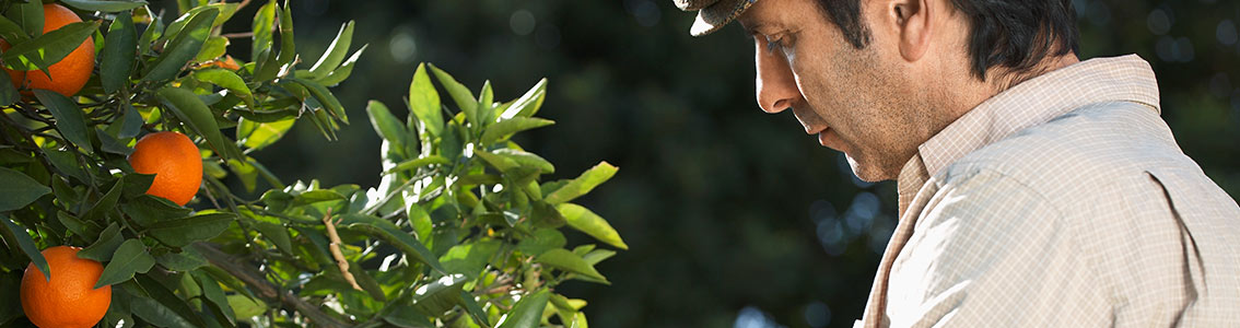 Défense et fraude alimentaires : Maîtriser les méthodologies