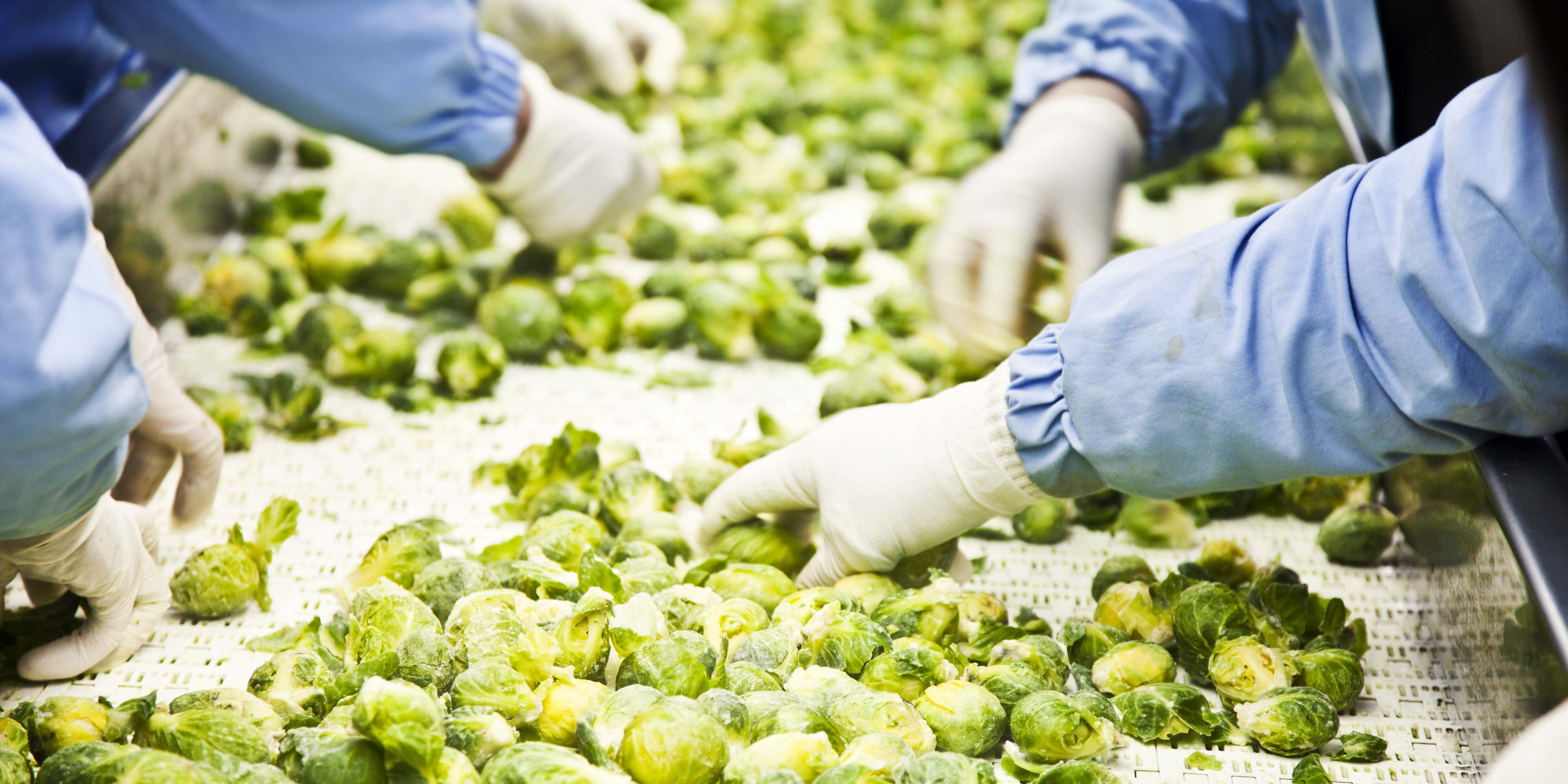 Food production workers