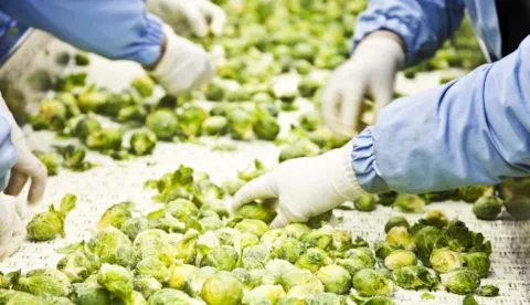 BRCGS V9 : les principaux changements