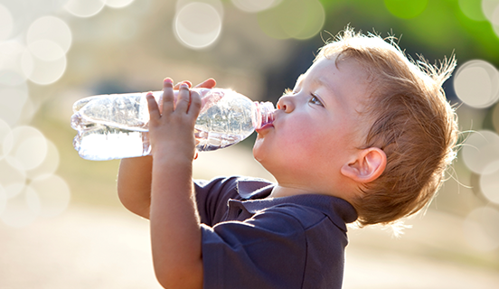 Programme de culture de la sécurité des aliments