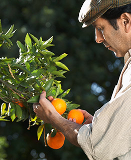 Formations en agroalimentaire & sécurité des aliments