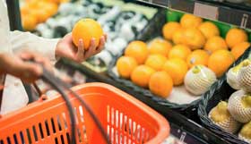 Sécurité Alimentaire