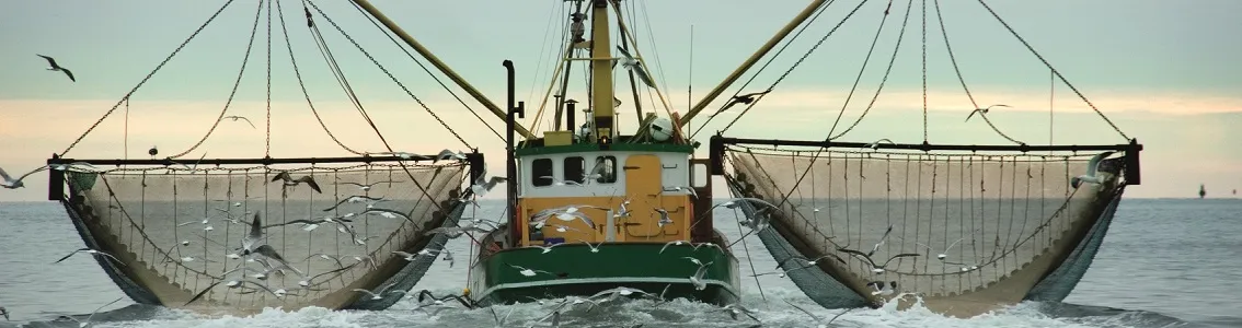 Friend Of The Sea Service - Fishing vessel