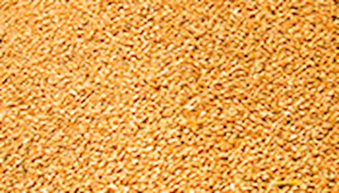 GLOBALG.A.P Compound Feed Manufacturing