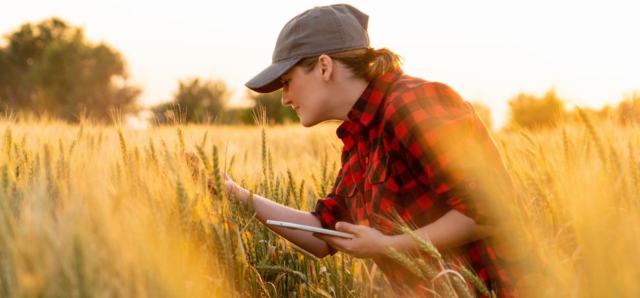 Agriculture intelligente