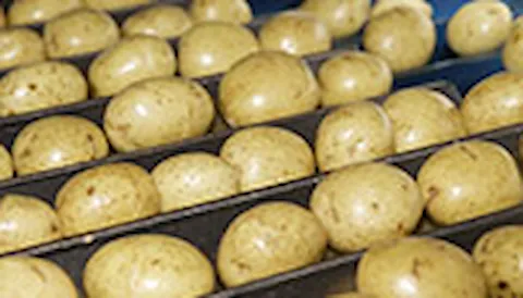 Processus de vérification des ingrédients non génétiquement modifiés - STP DNV