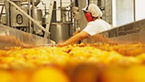 HACCP - Analyse des risques et maîtrise des points critiques