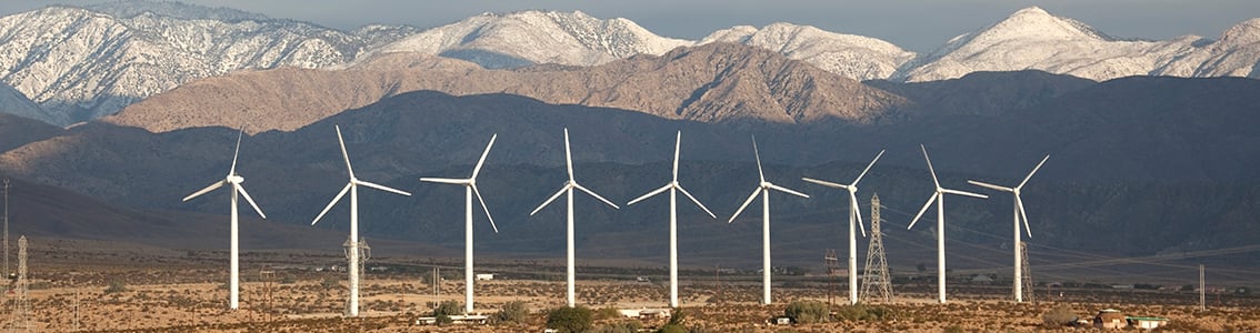 Warranty and verification testing