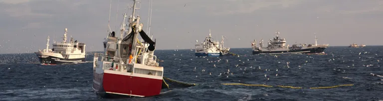 MSC Principles and Criteria for Sustainable Fishing