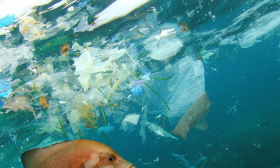 Operation Clean Sweep (OCS) - Système de management des pertes de granulés de plastique