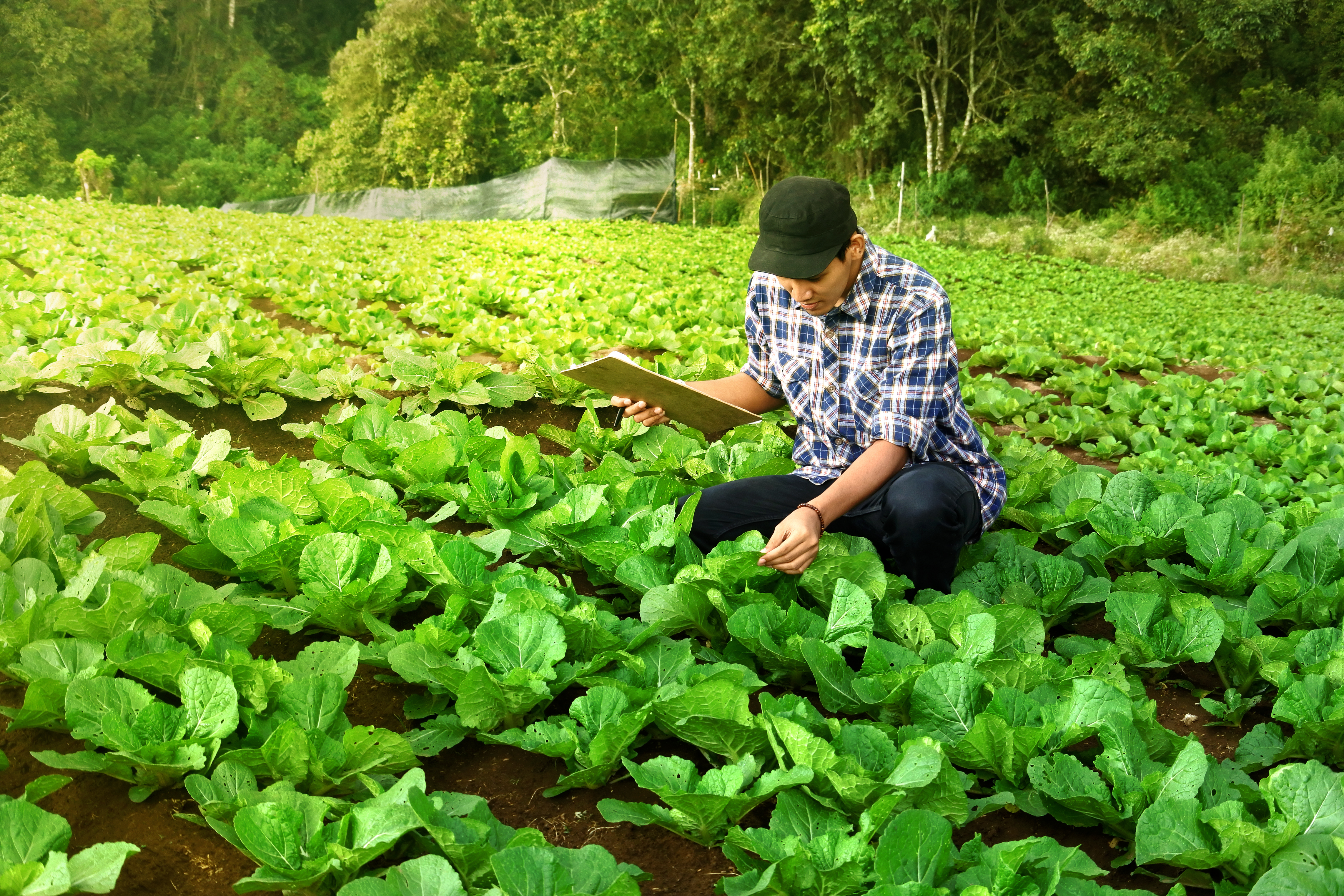 Transition vers la version 6 de la norme FSSC 22000