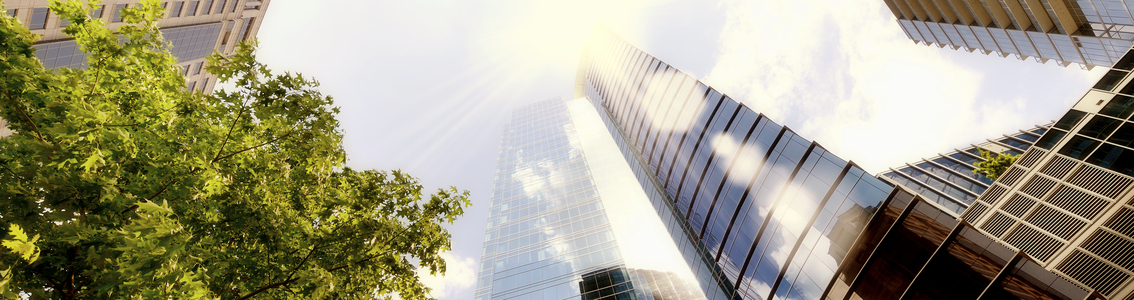 Skyscrapers from below