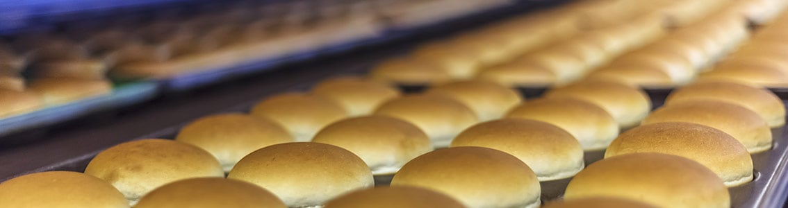 SQF Safety Quality Food Program