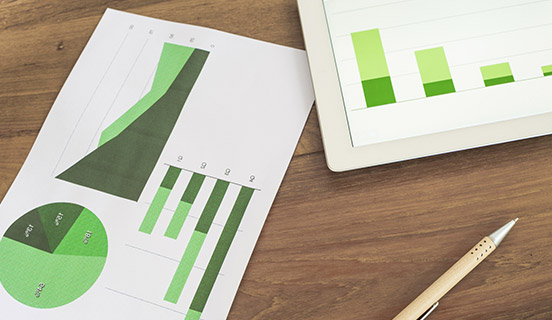 Vérification & Reporting (English)
