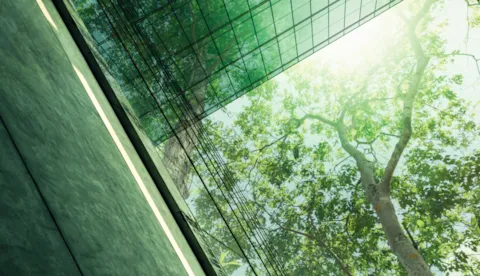 Les entreprises sont-elles engagées en faveur du développement durable ?