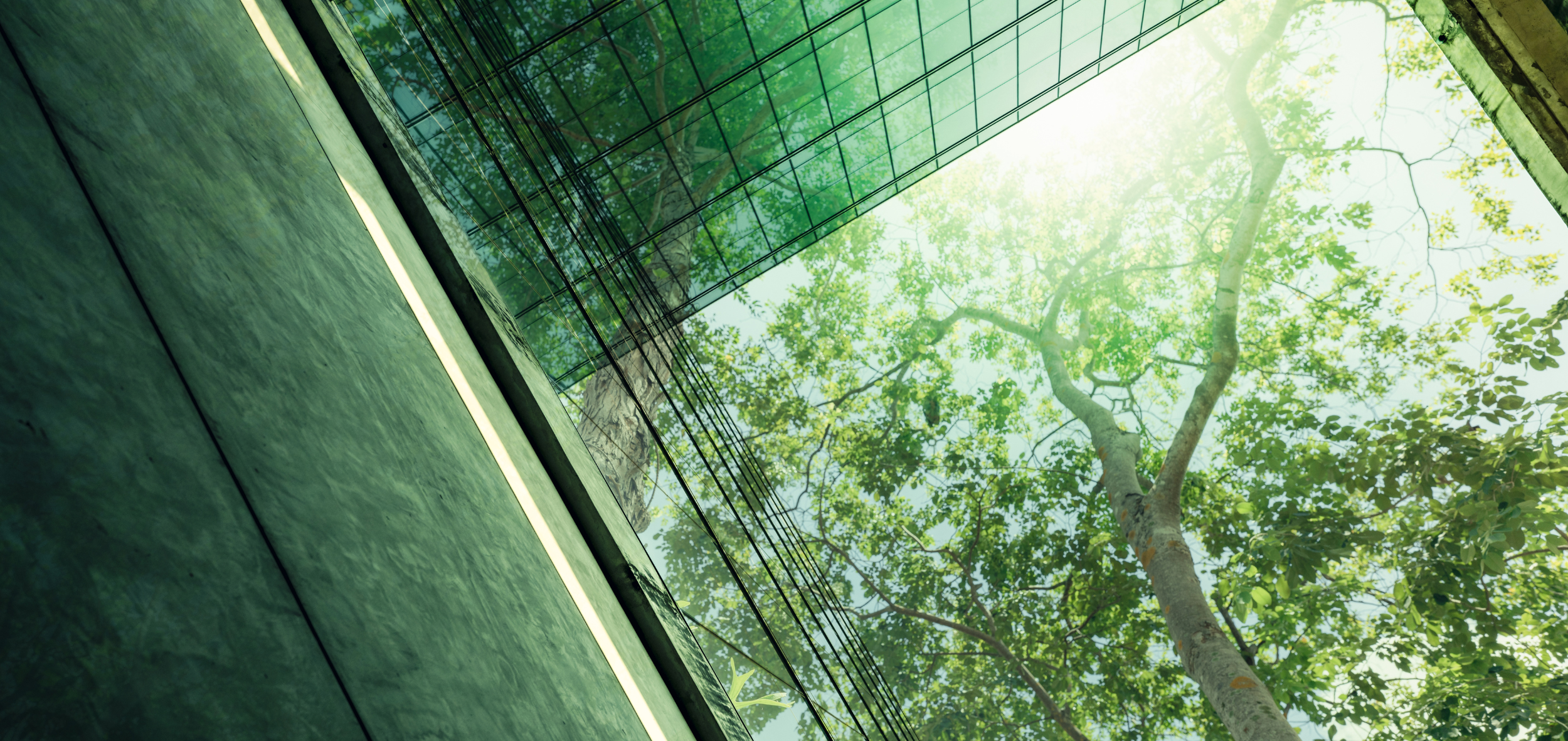 Sustainable building