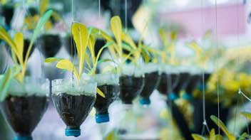 La transparence et la confiance dans la communication de la circularité