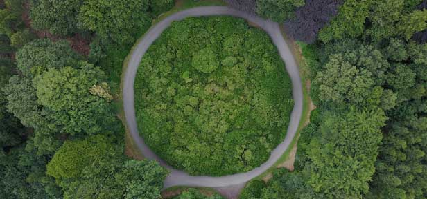 Comment les entreprises s'orientent-elles vers l'économie circulaire